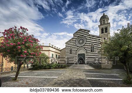 "Church of Sant'Andrea, oleander trees in front, Levanto, Riviera di Levante, Province of La Spezia, Liguria, Italy, Europe" View Large Photo Image Stock Photograph - "Church of Sant'Andrea, oleander trees in front, Levanto, Riviera di Levante, Province of La Spezia, Liguria, Italy, Europe". Fotosearch