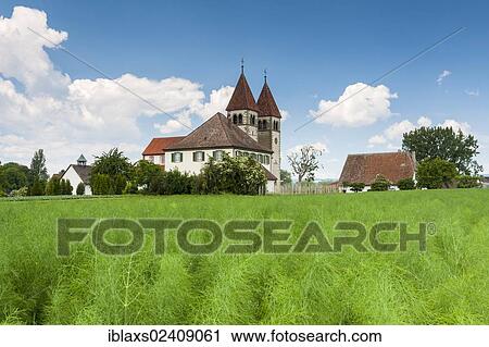 "Church of St. Peter and Paul in Niederzell on Reichenau Island, Lake Constance, Baden-Wuerttemberg, Germany, Europe, PublicGround, Europe" View Large Photo Image Stock Image - "Church of St. Peter and Paul in Niederzell on Reichenau Island, Lake Constance, Baden-Wuerttemberg, Germany, Europe, PublicGround, Europe". Fotosearch