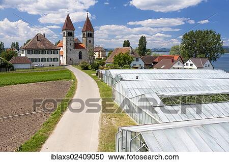 Stock Image - "Church of St. Peter and Paul with greenhouses, in Niederzell on Reichenau Island, Lake Constance, Baden-Wuerttemberg, Germany, Europe, PublicGround, Europe". Fotosearch