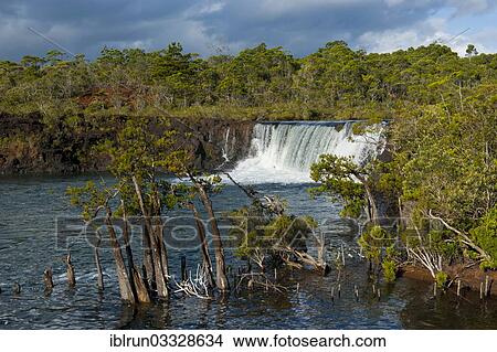 "Chutes de la Madeleine waterfall, Chutes de la Madeleine nature reserve, Grande Terre, New Caledonia, France, Oceania" View Large Photo Image Picture - "Chutes de la Madeleine waterfall, Chutes de la Madeleine nature reserve, Grande Terre, New Caledonia, France, Oceania". Fotosearch