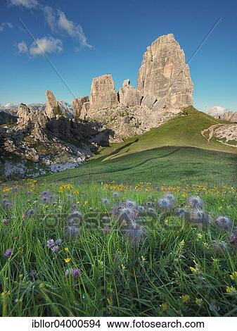 "Cinque Torri with blue sky and a meadow with flowers in the foreground, Dolomites, Veneto, Italy, Europe" View Large Photo Image Picture - "Cinque Torri with blue sky and a meadow with flowers in the foreground, Dolomites, Veneto, Italy, Europe". Fotosearch