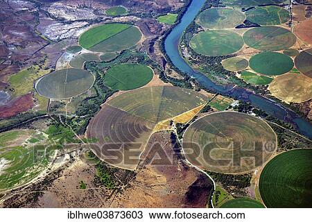 "Circular fields on the Orange River, irrigation of large areas in the Karoo Desert, Gariepdam, Free State Province, South Africa, Africa" View Large Photo Image Stock Image - "Circular fields on the Orange River, irrigation of large areas in the Karoo Desert, Gariepdam, Free State Province, South Africa, Africa". Fotosearch