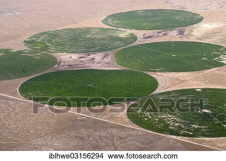 "Circular fields with fodder crops watered by irrigation systems in the desert of New Mexico, Moriarty, Moriarty, New Mexico, United States, North America" View Large Photo Image Picture - "Circular fields with fodder crops watered by irrigation systems in the desert of New Mexico, Moriarty, Moriarty, New Mexico, United States, North America". Fotosearch