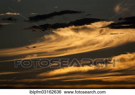"Cirrus sunset sky, Western Australia" View Large Photo Image Stock Photograph - "Cirrus sunset sky, Western Australia". Fotosearch