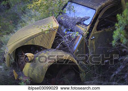 "Citroen 2CV AU van, wreck of a Deux Chevaux in the woods, model 1951-1954, Roquebrune Cap Martin, Roquebrune-Cap-Martin, Provence, Region Provence-Alpes-Cote d? ÇÖAzur, France, Europe" View Large Photo Image Stock Photo - "Citroen 2CV AU van, wreck of a Deux Chevaux in the woods, model 1951-1954, Roquebrune Cap Martin, Roquebrune-Cap-Martin, Provence, Region Provence-Alpes-Cote d? ÇÖAzur, France, Europe". Fotosearch