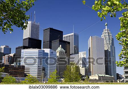 City Of Toronto Downtown Skyline Framed With Green Leaves Toronto