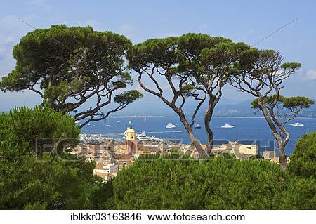 "City view from the citadel, Cote d? ÇÖAzur, Saint-Tropez, Departement Var, Region Provence-Alpes-Cote d? ÇÖAzur, France, Europe" View Large Photo Image Stock Photograph - "City view from the citadel, Cote d? ÇÖAzur, Saint-Tropez, Departement Var, Region Provence-Alpes-Cote d? ÇÖAzur, France, Europe". Fotosearch
