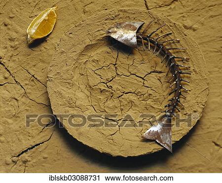 Stock Image - Clay plate with a fish skeleton made of metal. Fotosearch