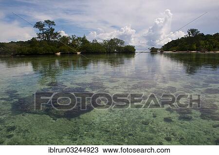 "Clear waters of the Marovo Lagoon, Marovo Lagoon, Western Province, Solomon Islands, Oceania" View Large Photo Image Stock Image - "Clear waters of the Marovo Lagoon, Marovo Lagoon, Western Province, Solomon Islands, Oceania". Fotosearch
