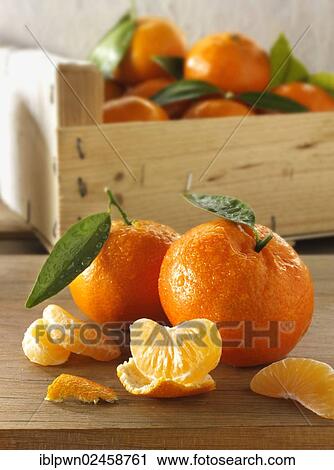 Clementines View Large Photo Image Stock Image - Clementines. Fotosearch