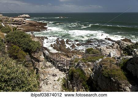 "Cliffs at Hermanus, Western Cape, South Africa, Africa" View Large Photo Image Stock Image - "Cliffs at Hermanus, Western Cape, South Africa, Africa". Fotosearch