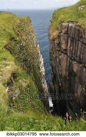 "Cliffs, Handa Island, Scotland, United Kingdom, Europe" View Large Photo Image Stock Photography - "Cliffs, Handa Island, Scotland, United Kingdom, Europe". Fotosearch