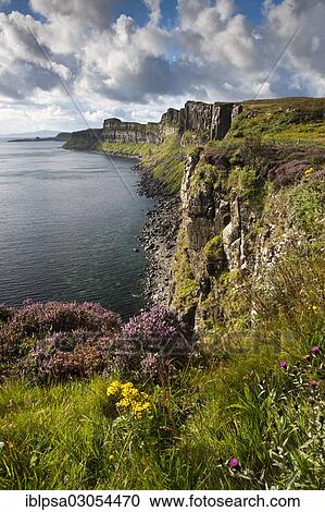"Cliffs, Isle of Skye, Scotland, United Kingdom, Europe" View Large Photo Image Stock Image - "Cliffs, Isle of Skye, Scotland, United Kingdom, Europe". Fotosearch