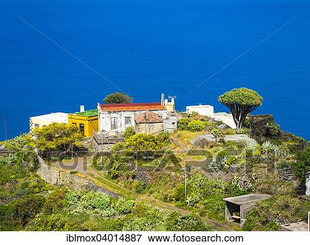 "Cliffs with colorful houses on the cliff at El Tablado, Costa del Tablado, La Palma, Canary Islands, Spain, Europe" View Large Photo Image Stock Photo - "Cliffs with colorful houses on the cliff at El Tablado, Costa del Tablado, La Palma, Canary Islands, Spain, Europe". Fotosearch