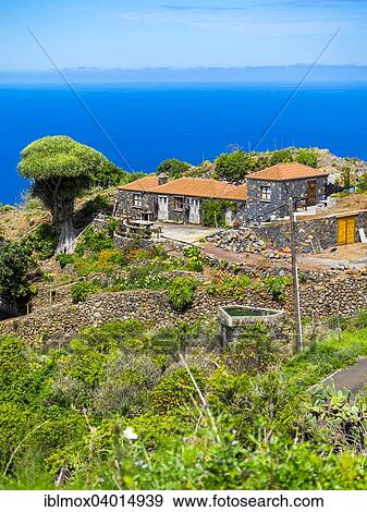 "Cliffs with houses on the cliff at El Tablado, Costa del Tablado, La Palma, Canary Islands, Spain, Europe" View Large Photo Image Stock Photo - "Cliffs with houses on the cliff at El Tablado, Costa del Tablado, La Palma, Canary Islands, Spain, Europe". Fotosearch