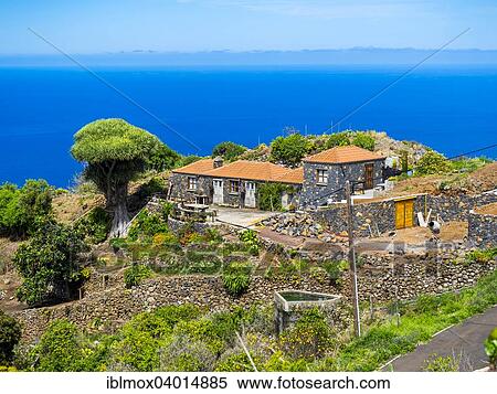 "Cliffs with houses on the cliff in El Tablado, Costa del Tablado, La Palma, Canary Islands, Spain, Europe" View Large Photo Image Stock Photography - "Cliffs with houses on the cliff in El Tablado, Costa del Tablado, La Palma, Canary Islands, Spain, Europe". Fotosearch