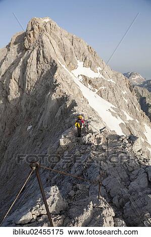 "Climber climbing along a ridge, ascent along the regular route towards Triglav Mountain, Triglav National Park, Slovenia, Europe" View Large Photo Image Stock Photography - "Climber climbing along a ridge, ascent along the regular route towards Triglav Mountain, Triglav National Park, Slovenia, Europe". Fotosearch