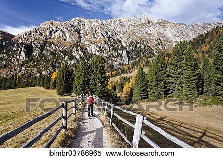 "Climbers at the Gampe meadows, descending the Peitlerkofel in the Puez-Geisler nature park, below the Funes Valley, Eisacktal, Dolomites, South Tyrol, Italy, Europe" View Large Photo Image Stock Photography - "Climbers at the Gampe meadows, descending the Peitlerkofel in the Puez-Geisler nature park, below the Funes Valley, Eisacktal, Dolomites, South Tyrol, Italy, Europe". Fotosearch
