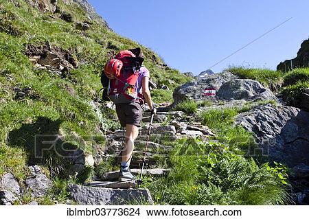 "Climbers during the ascent of Mt Wilder Freiger, South Tyrol, Trentino-Alto Adige, Italy, Europe" View Large Photo Image Picture - "Climbers during the ascent of Mt Wilder Freiger, South Tyrol, Trentino-Alto Adige, Italy, Europe". Fotosearch
