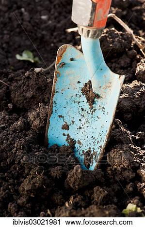 Stock Image - "Closeup of a small spade in the dirt, Sweden, Europe". Fotosearch