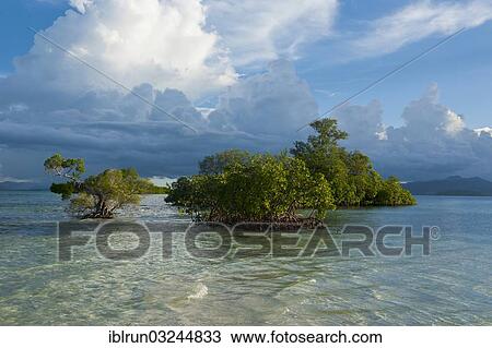 "Cloud formations above the Marovo Lagoon, Marovo Lagoon, Western Province, Solomon Islands, Oceania" View Large Photo Image Stock Image - "Cloud formations above the Marovo Lagoon, Marovo Lagoon, Western Province, Solomon Islands, Oceania". Fotosearch