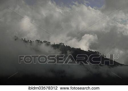 "Cloud-shrouded forest landscape near Yotong La Pass, Yotongla Pass, Bumthang district, Bhutan, Asia" View Large Photo Image Stock Image - "Cloud-shrouded forest landscape near Yotong La Pass, Yotongla Pass, Bumthang district, Bhutan, Asia". Fotosearch