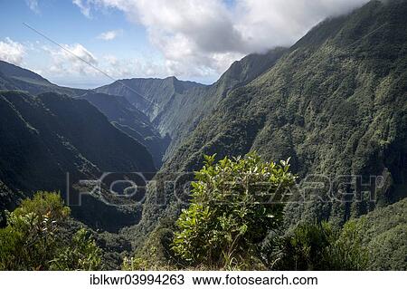 "Clouds above Takamaka Gorge, Cassee de Takamaka, Reunion, Africa" View Large Photo Image Stock Image - "Clouds above Takamaka Gorge, Cassee de Takamaka, Reunion, Africa". Fotosearch