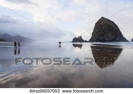 Stock Image - "Clouds are reflected on the beach of Cannon Beach, Oregon, United States, North America". Fotosearch