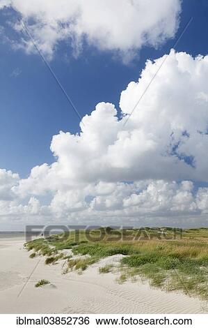 "Clouds in the sky, beach dunes, St. Peter-Ording, Eiderstedt, Schleswig-Holstein, Germany, Europe" View Large Photo Image Stock Photograph - "Clouds in the sky, beach dunes, St. Peter-Ording, Eiderstedt, Schleswig-Holstein, Germany, Europe". Fotosearch