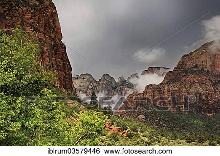 "Clouds of mist in the canyon after a rainstorm near Canyon Overlook, Zion National Park, Utah, United States, North America" View Large Photo Image Stock Photograph - "Clouds of mist in the canyon after a rainstorm near Canyon Overlook, Zion National Park, Utah, United States, North America". Fotosearch
