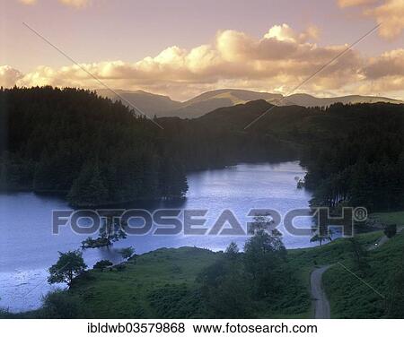 "Cloudy mood at Tarn Hows lake, near Coniston, Cumbria, England, United Kingdom, Europe" View Large Photo Image Stock Photo - "Cloudy mood at Tarn Hows lake, near Coniston, Cumbria, England, United Kingdom, Europe". Fotosearch