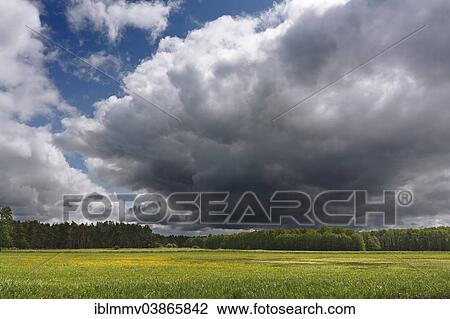 "Cloudy sky above the shore meadows at the headwaters of the river Havel, Muritz National Park, at Babke, Mecklenburg-Western Pomerania, Germany, Europe" View Large Photo Image Stock Image - "Cloudy sky above the shore meadows at the headwaters of the river Havel, Muritz National Park, at Babke, Mecklenburg-Western Pomerania, Germany, Europe". Fotosearch