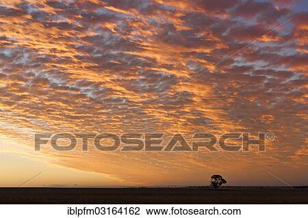 Stock Image - "Cloudy Sunset over farmland, Western Australia, Australia, Oceania". Fotosearch