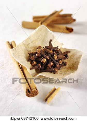 Cloves and cinnamon sticks View Large Photo Image Stock Image - Cloves and cinnamon sticks. Fotosearch