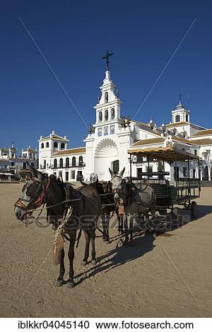 "Coach at the square, Hermitage of El Rocio in the lagoon of the Donana National Park, El Rocio, Costa de la Luz, Andalusia, Spain, Europe" View Large Photo Image Stock Image - "Coach at the square, Hermitage of El Rocio in the lagoon of the Donana National Park, El Rocio, Costa de la Luz, Andalusia, Spain, Europe". Fotosearch