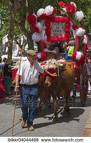 "Coach, Romario de San Isidore pilgrimage in Nerja, Costa del Sol, Andalucia, Spain, Europe" View Large Photo Image Stock Photo - "Coach, Romario de San Isidore pilgrimage in Nerja, Costa del Sol, Andalucia, Spain, Europe". Fotosearch