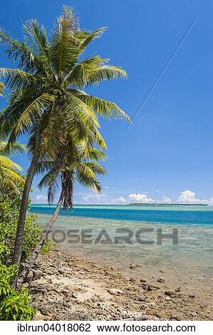 Stock Image - "Coast and coral reef, Cocos Lagoon, Merizo, Guam, US Territory, Pacific, Oceania". Fotosearch