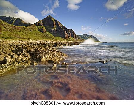 "Coast at Ka'ena Point State Park, Oahu, Hawaii, United States, North America" View Large Photo Image Picture - "Coast at Ka'ena Point State Park, Oahu, Hawaii, United States, North America". Fotosearch