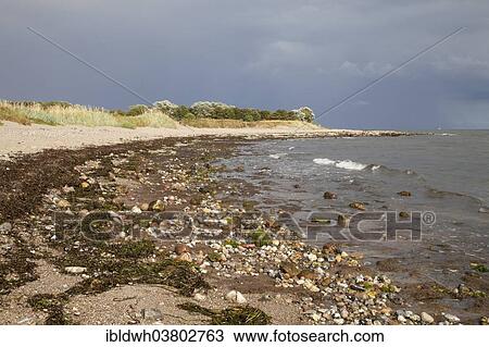 "Coast at Wulfener Hals, Fehmarn island, Schleswig-Holstein, Germany, Europe" View Large Photo Image Stock Image - "Coast at Wulfener Hals, Fehmarn island, Schleswig-Holstein, Germany, Europe". Fotosearch