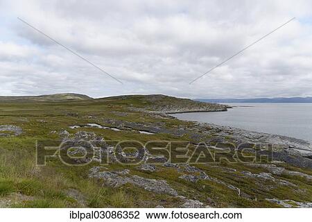 "Coast, Barents Sea, Porsangenfjord, Norway, Europe" View Large Photo Image Stock Image - "Coast, Barents Sea, Porsangenfjord, Norway, Europe". Fotosearch