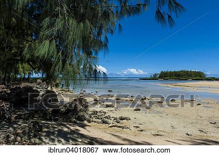 "Coast, Cocos Lagoon, Merizo, Guam, US Territory, Pacific, Oceania" View Large Photo Image Stock Photo - "Coast, Cocos Lagoon, Merizo, Guam, US Territory, Pacific, Oceania". Fotosearch