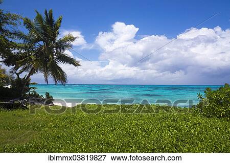 "Coast, Denis Island, Seychelles, Indian Ocean, Africa" View Large Photo Image Stock Photo - "Coast, Denis Island, Seychelles, Indian Ocean, Africa". Fotosearch
