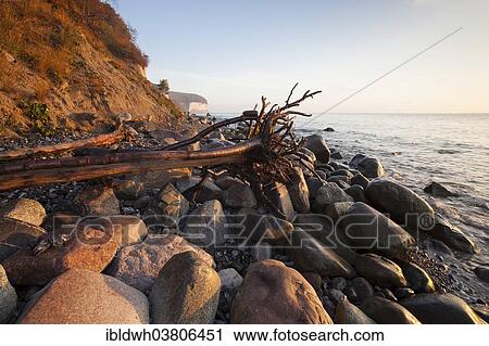 "Coast in the morning light, Jasmund National Park, Rugen, Mecklenburg-Western Pomerania, Germany, Europe" View Large Photo Image Stock Image - "Coast in the morning light, Jasmund National Park, Rugen, Mecklenburg-Western Pomerania, Germany, Europe". Fotosearch
