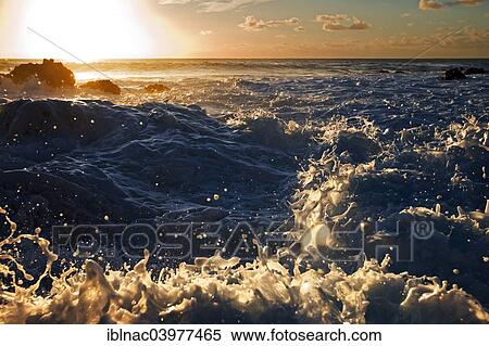 "Coast, La Gomera, Canary Islands, Spain, Europe" View Large Photo Image Stock Photography - "Coast, La Gomera, Canary Islands, Spain, Europe". Fotosearch