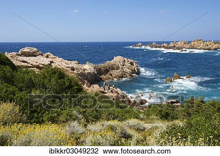 "Coast of Capo Testa, Santa Teresa Gallura, Sardinia, Italy, Europe" View Large Photo Image Stock Image - "Coast of Capo Testa, Santa Teresa Gallura, Sardinia, Italy, Europe". Fotosearch