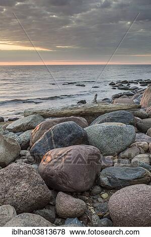 "Coast of the Baltic Sea at the Gulf of Riga, Tuja, Salacgrivas novads, Latvia, Europe" View Large Photo Image Stock Photo - "Coast of the Baltic Sea at the Gulf of Riga, Tuja, Salacgrivas novads, Latvia, Europe". Fotosearch