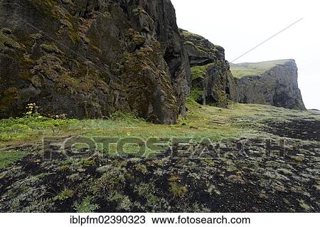 "Coastal cliffs, Vik, Iceland, Europe" View Large Photo Image Stock Image - "Coastal cliffs, Vik, Iceland, Europe". Fotosearch