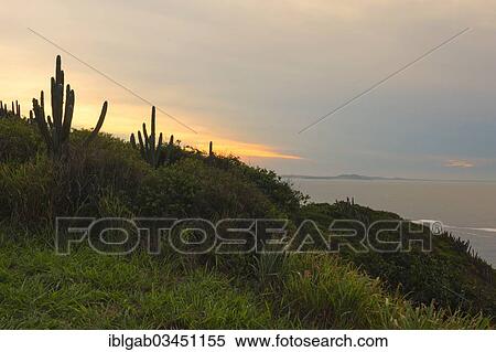 "Coastal landscape, Armacao dos Buzios, Rio de Janeiro State, Brazil, South America" View Large Photo Image Stock Photography - "Coastal landscape, Armacao dos Buzios, Rio de Janeiro State, Brazil, South America". Fotosearch