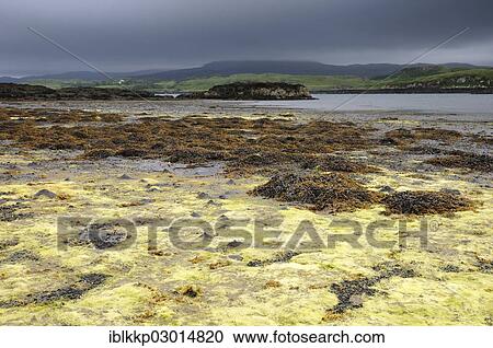 Stock Image - "Coastal landscape at low tide, Schottland, Isle of Skye, Scotland, United Kingdom, Europe". Fotosearch