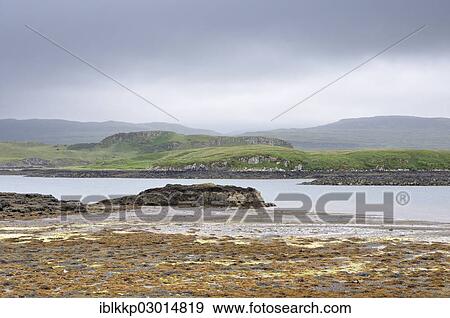 "Coastal landscape at low tide, Schottland, Isle of Skye, Scotland, United Kingdom, Europe" View Large Photo Image Stock Photo - "Coastal landscape at low tide, Schottland, Isle of Skye, Scotland, United Kingdom, Europe". Fotosearch